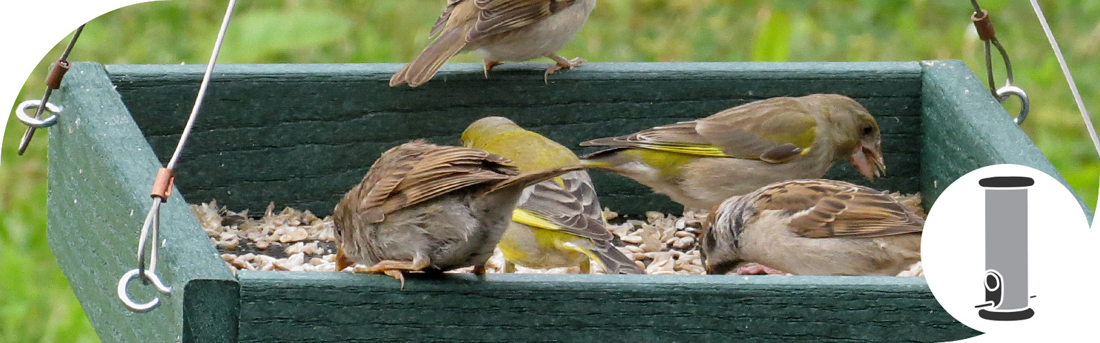 Voedertafels en -schalen zijn populair bij veel soorten tuinvogels en passen in vrijwel iedere tuin of zelfs op de balkon of terras.